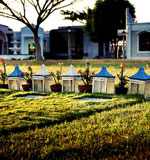 渠道正规的ddos攻击测试